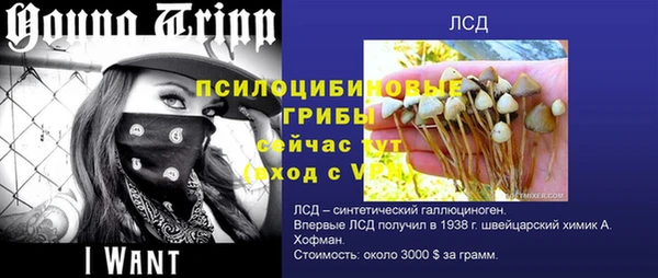 спиды Арсеньев